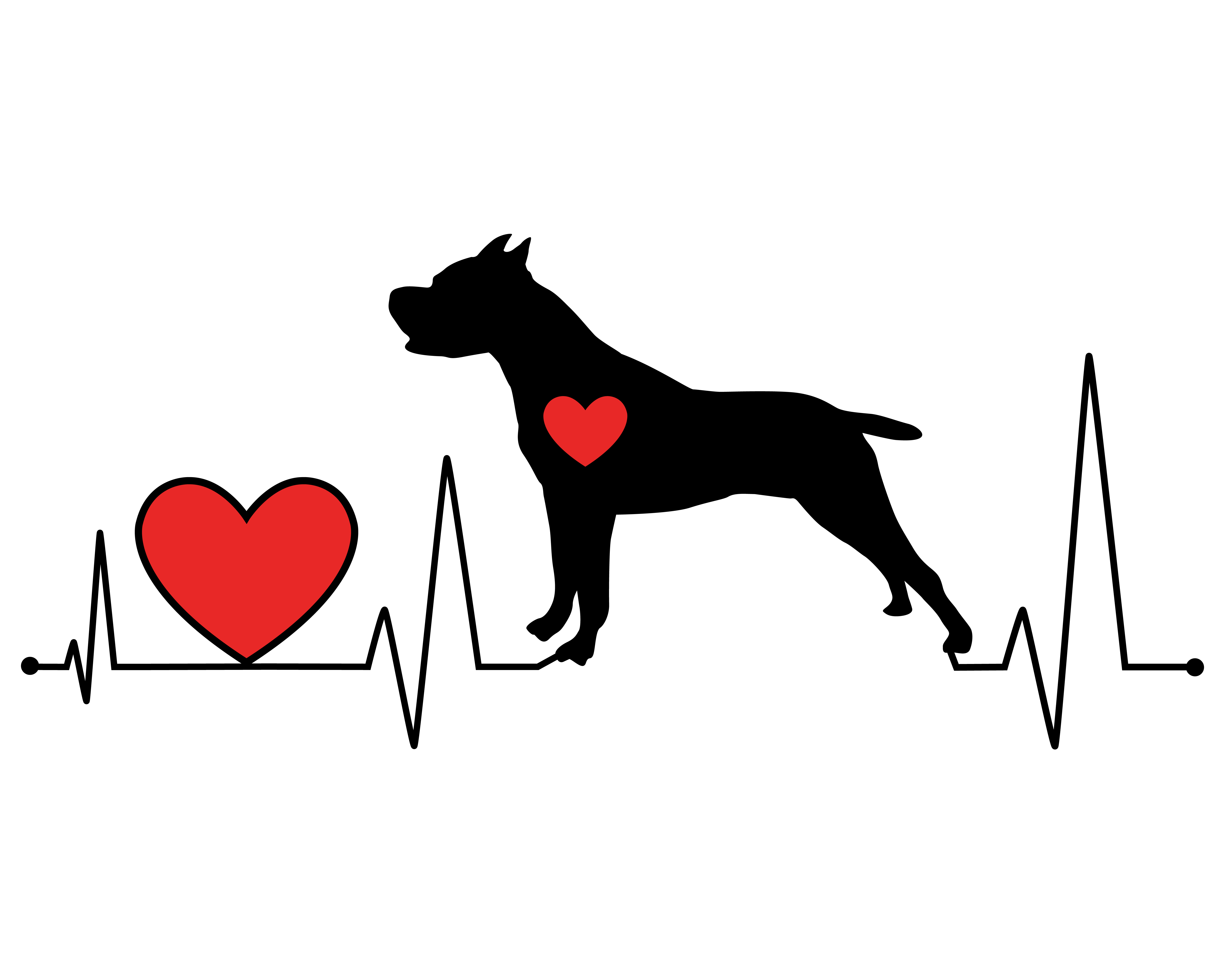 Dog Cardiology Understanding Canine Heart Disease
